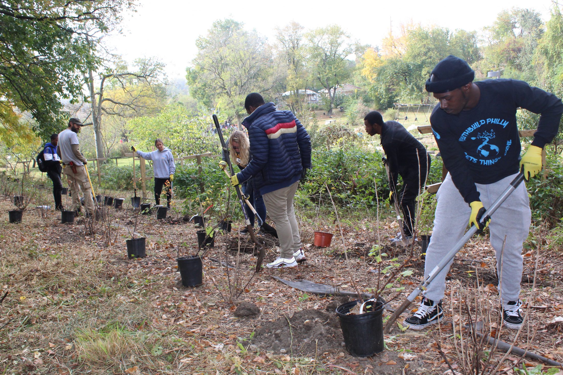 Volunteer_3