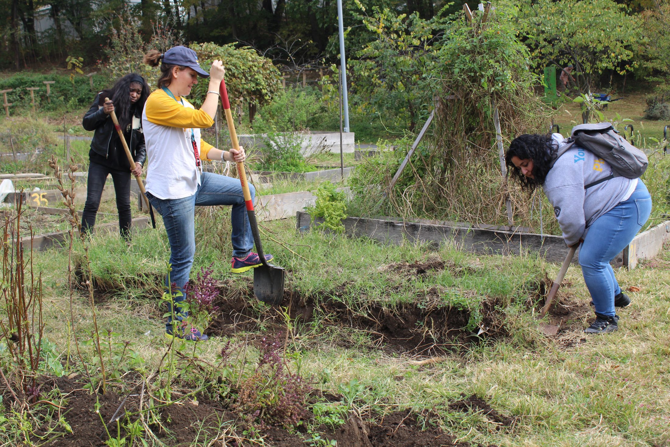 Volunteer_6